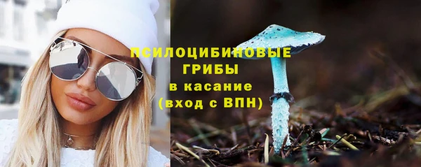 spice Беломорск