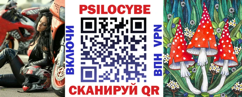 Купить где  Багратионовск  Галлюциногенные грибы Cubensis 
